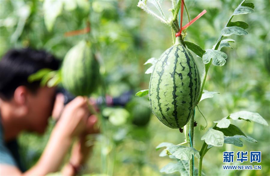 1597646163248049.jpg 1597646163248049.jpg