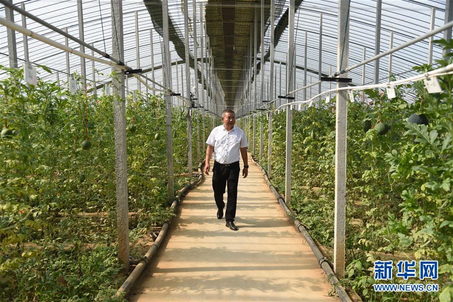 1597646265560729.jpg 1597646265560729.jpg