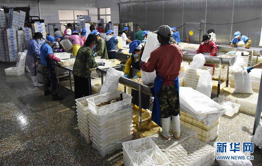 1597646689517904.jpg 1597646689517904.jpg