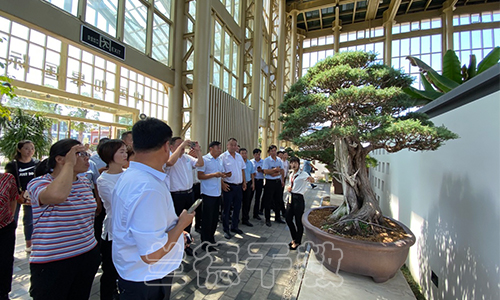 1600312809253873.jpg “乡村振兴”培训班(2020030056)(1).jpg