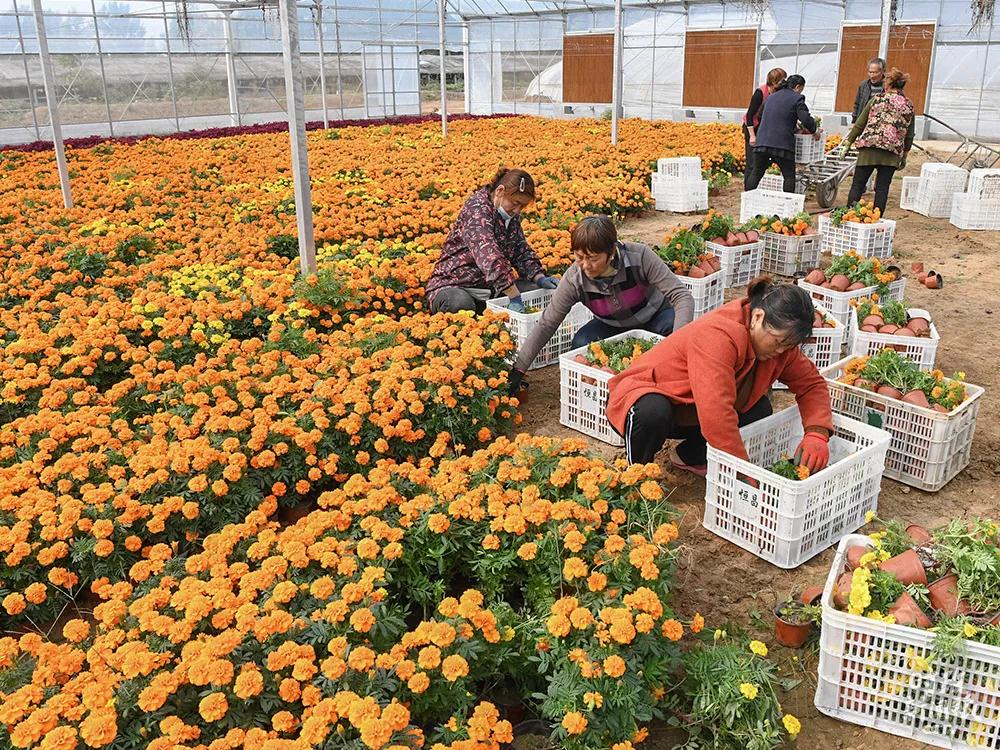 1604019533148753.jpg 1604019533148753.jpg