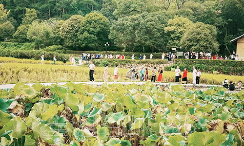 “乡村振兴专题”培训班（2023010788） (3).jpeg