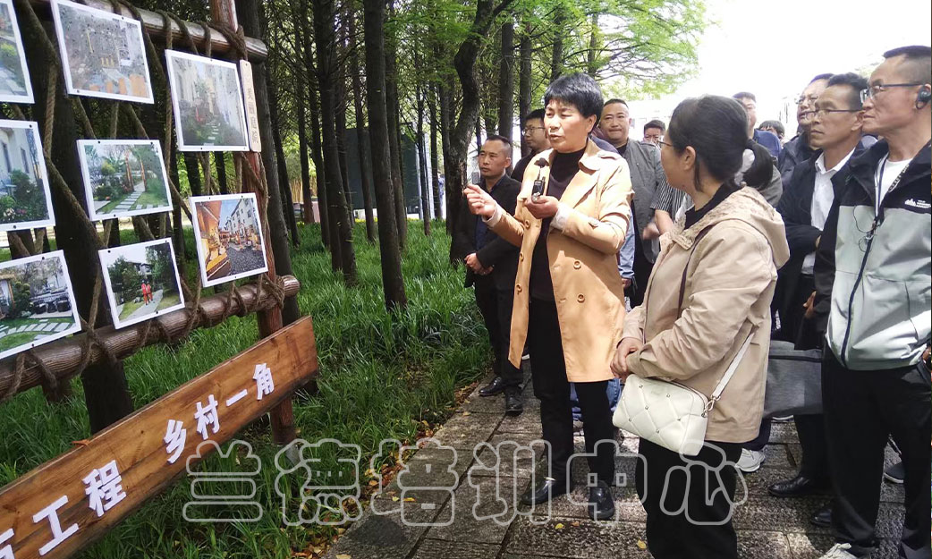 “人大代表履职能力提升”培训班（2024240944） (4).jpg