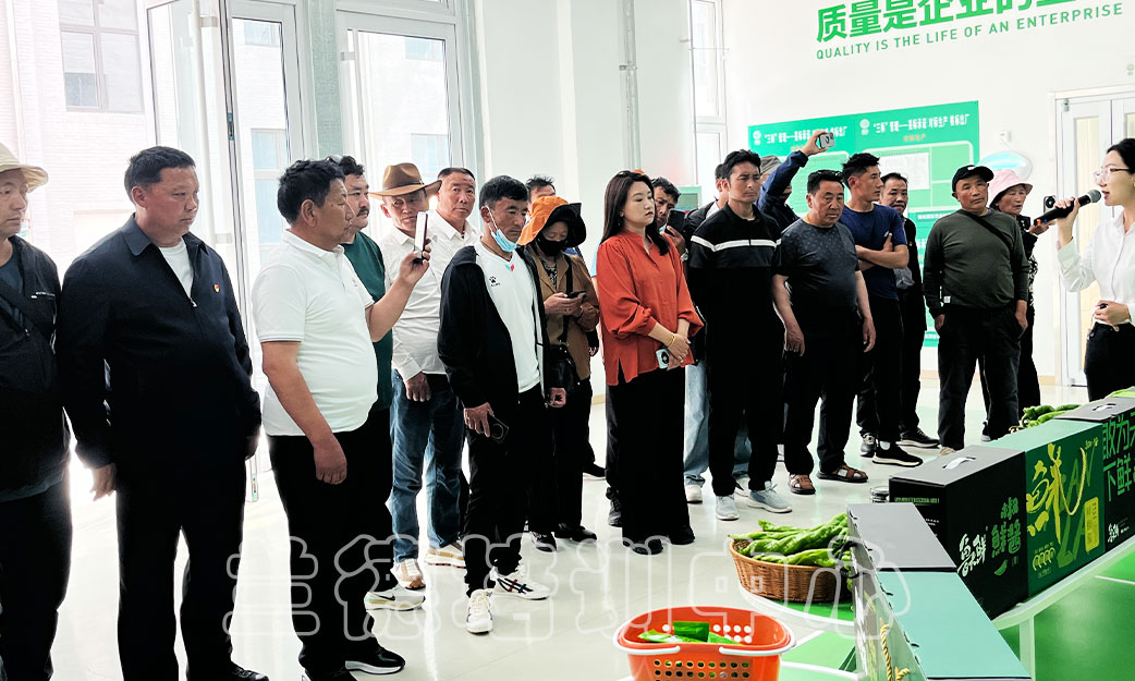 “干赴山东开展乡村振兴”培训班（2024010948） (4).jpg