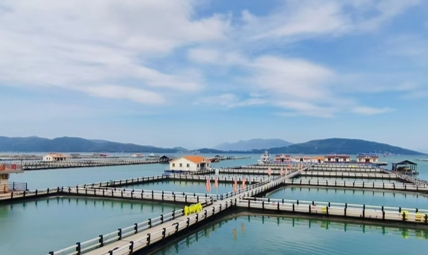 宁德三都澳白基湾深水网箱养殖.jpg