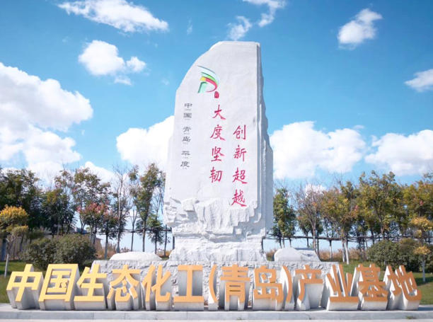 青岛新河生态化工科技产业基地中国生态化工(青岛)产业基地.jpg